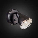 Спот Citilux Робуста CL509512