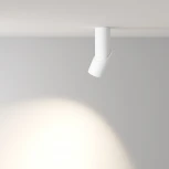 Накладной потолочный светильник Dafne 4000K 1x10Вт 38° LED Maytoni Technical C027CL-L10W4K (220V, круглые)