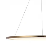 Подвесной светильник Loft IT Ring 10014XL (LED, 220V, на тросе, кольцо)