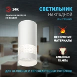 Точечный светильник ЭРА OL41 WH/WH