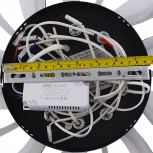 Потолочная люстра светодиодная с пультом ДУ 110W, черный, LED Natali Kovaltseva Fortuna LED LAMPS 81107/5C (регулировка яркости, 220V, цветы)