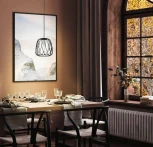 Подвесной светильник Floresta 99705 (220V)