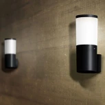 Настенный светильник уличный Fumagalli Amelia DR2.570.000.AYF1R (220V, IP55)