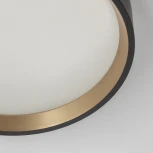 Настенно-потолочный светильник с подсветкой Черный+Золото Citilux Etalon CL750181 (LED, 220V, круглые, IP40)