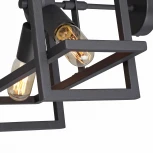 Потолочная люстра на штанге Vitaluce V3981-1/4PL (220V)