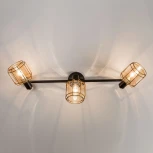 Спот на штанге Citilux Таверна CL542632 (220V, выключатель)