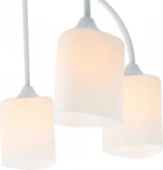 Потолочная люстра Escada Ipomea 2102/5P 5x60Вт E27, металл/стекло, белый, матовый плафон (220V)