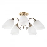 Потолочная люстра MyFar Biene MR1521-5C (220V)