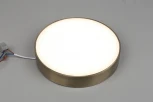 Потолочный светильник круглый Aployt Evon APL.0114.29.24 (LED, 220V, круглые)