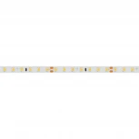 Светодиодная лента RT 2-5000 24V Cool 8K 1.6x (2835, 490 LED, PRO) (Arlight, 10 Вт/м, IP20) 019912(1)