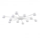 Потолочная люстра Lumion Torina 8343/12C белый, металл GX53 LED 12*7W 220V