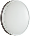 Настенно-потолочный светильник Sonex Nohava Brown 7668/EL пластик/темно-кор. LED 70Вт 3000-6000К D500 IP43 пульт ДУ (220V, круглые)