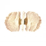 Бра светодиодное Cloyd Antigua 20363 (220V)