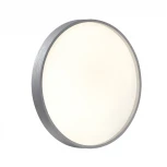 Настенно-потолочный светильник Sonex Gaby 7784/CL пластик/белый/серебро LED 30Вт