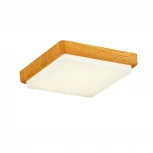 Потолочный светильник Evoluce Taddio SLE200202-01