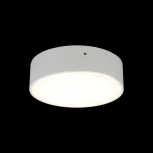 Потолочный светильник круглый Aployt Evon APL.0113.09.12 (LED, 220V, круглые)