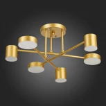 Потолочная люстра Evoluce Nobel SLE201022-06
