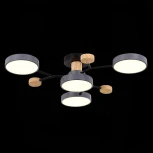 Потолочная люстра на штанге Evoluce Faema SLE6006-702-04