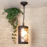 Уличный светильник подвесной Elektrostandard Premier GL 1017H (220V, на цепи, IP44)