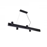 Подвесной линейный светильник Vele Luce Chela VL10142P24