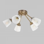 Потолочная люстра Imex MD.2168-5-S-AB