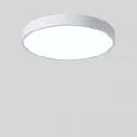 Светильник настенно-потолочный TopDecor Union P2 10 (LED, 220V, круглые)