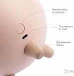 Ночник светодиодный с выключателем регулировкой яркости и зарядкой от USB ЭРА NLED-468-1W-P