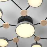 Потолочная люстра с пультом на штанге LED Lu Carte LC-11-1719