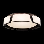 Потолочный светильник Freya Ethan FR6041CL-L92W