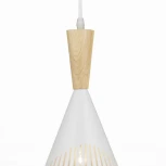 Подвесной светильник Wedo Light Parma 66574.01.09.01