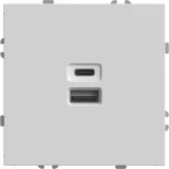 Розетка USB Type A+С (белый) Stekker Эмили 49879