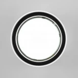 Потолочный светильник уличный Light 35144/H (220V, IP54)