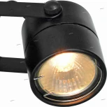 Спот Arte Lamp Lente A1310AP-1BK
