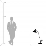 Интерьерная настольная лампа Lightstar Manti 764906