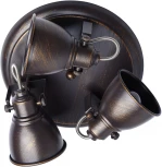 Спот DeMarkt Ринген 547020403 (220V, круглые)