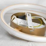 Потолочная люстра Lussole Loft Ingersoll LSP-8346 (LED, 220V, кольцо, IP21)