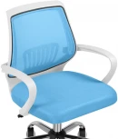 Компьютерное кресло Woodville Ergoplus blue / white 15375