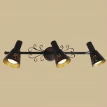 Спот на штанге Citilux Дункан CL529531 (220V, круглые)