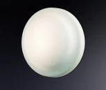Настенно-потолочный светильник Odeon Light Tavoy 2760/1C