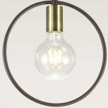 Подвесной светильник Lumion Darryl 3691/1