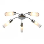 Потолочная люстра Omnilux 287 OML-28707-05