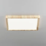 Настенно-потолочный светильник Citilux Бейсик CL738K242V (регулировка яркости, LED, 220V, IP40)