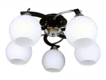 Потолочная люстра Omnilux 254 OML-25407-05 (220V, шарики)