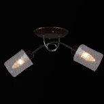 Потолочная люстра Reluce 32298-0.3-02 (220V)