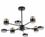 Потолочная люстра на штанге Evoluce Tezze SLE6007-402-08