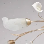 Потолочная люстра MW-Light Восторг 242016306