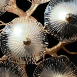 Потолочная люстра Loft It Bloom 10352/800C AB (220V, цветы, ветки)