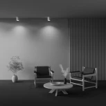 Накладной потолочный светильник Conik gyps GU10 1x30Вт Maytoni Technical C001CW-01W (220V)