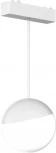 Светильник трековый магнитный 48V Aployt Magnetic track 48 APL.0125.10.06 (LED, шар)