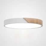 Потолочный светильник круглый Clip White D40 ImperiumLoft Clip01 (193048-26) (LED, 220V, круглые)